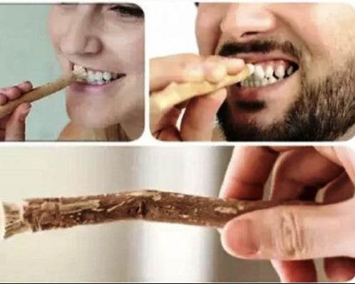 bâton de miswak naturel pour soins dents et gencives
