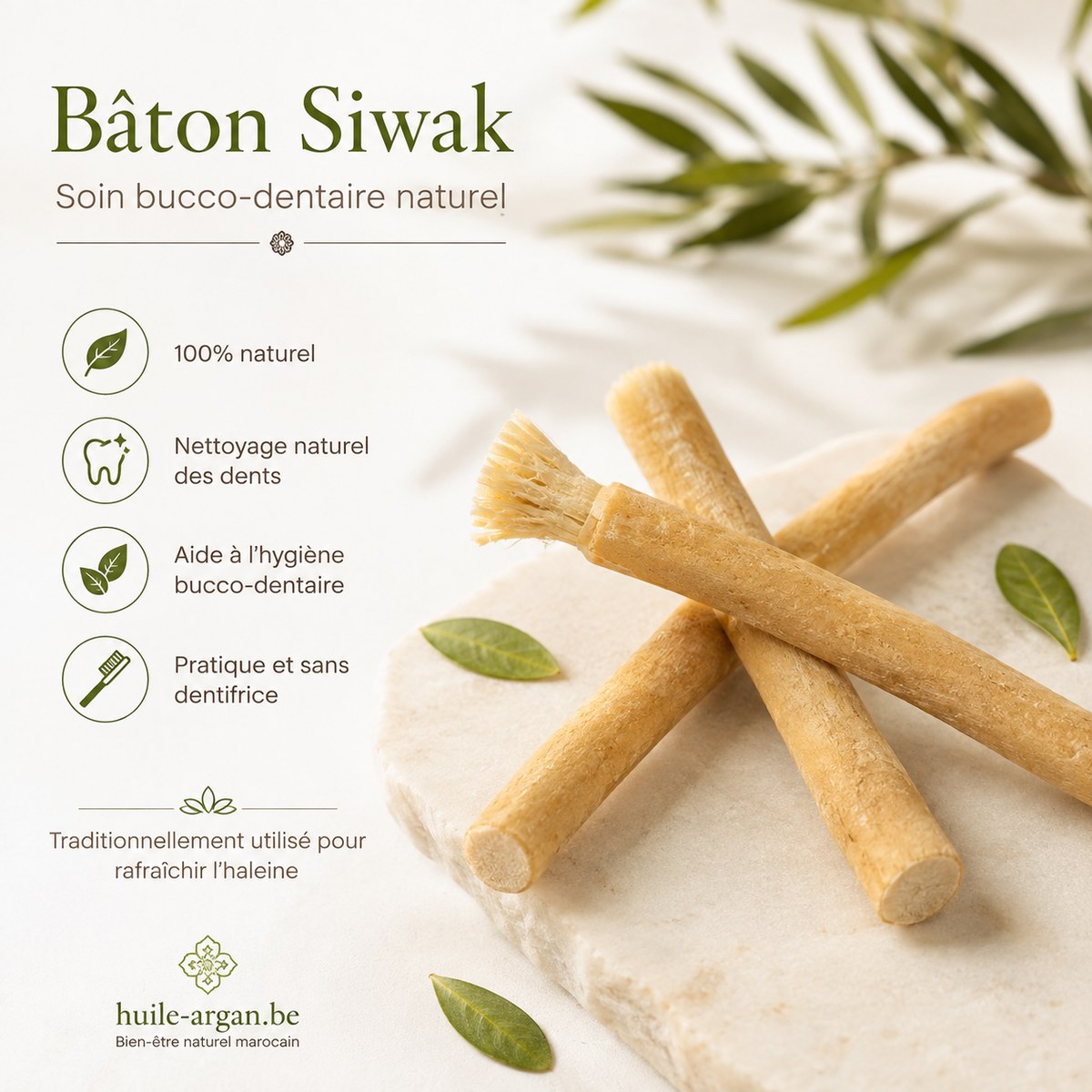 Bâton de Miswak - Siwak pour Dents  & Gencives