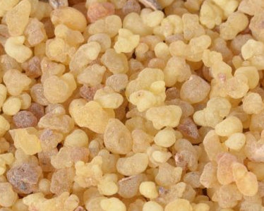 Oliban Dakar Pure